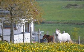 Gites & Tiny Houses Les Hauts De Toulvern
