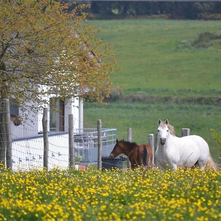 Gites & Tiny Houses Les Hauts De Toulvern Baden Esterno foto
