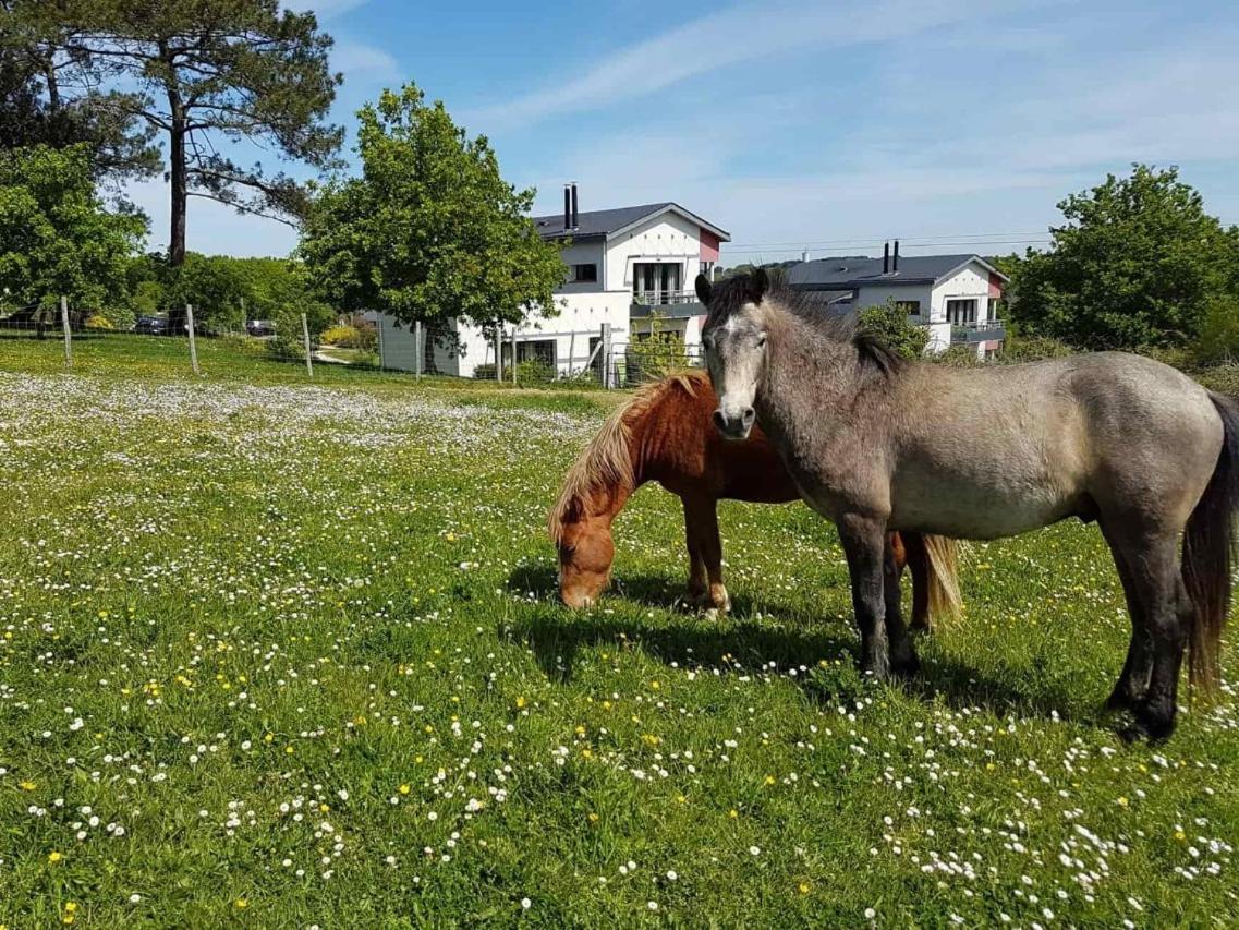 Gites & Tiny Houses Les Hauts De Toulvern Baden Esterno foto