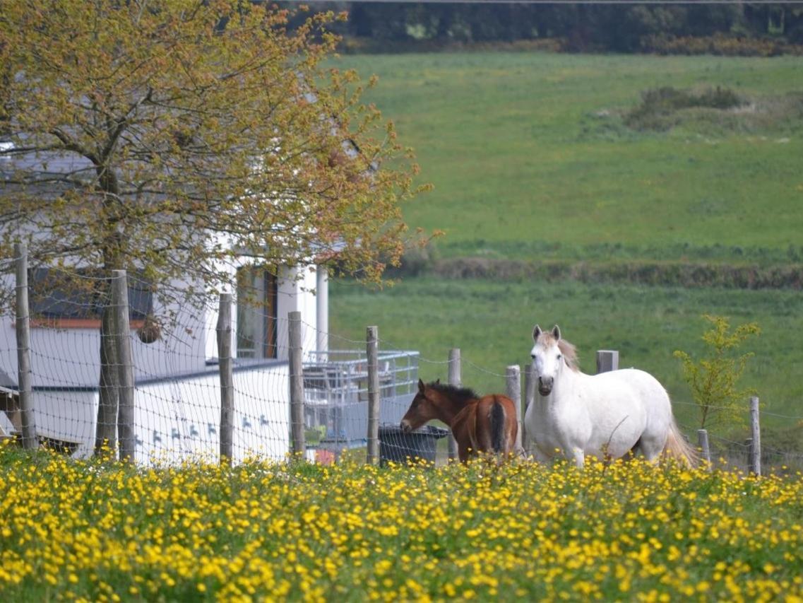 Gites & Tiny Houses Les Hauts De Toulvern Baden Esterno foto