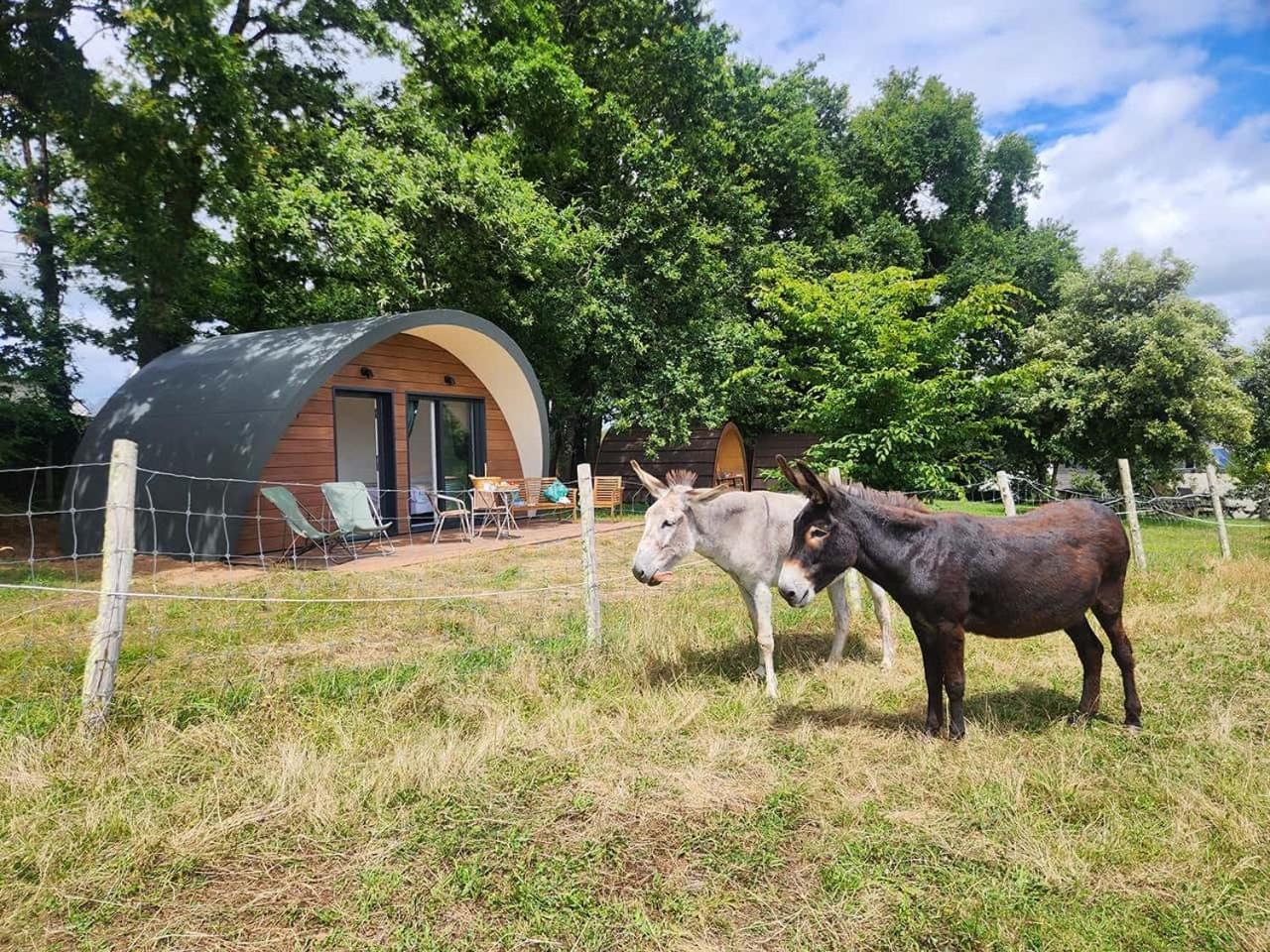 Gites & Tiny Houses Les Hauts De Toulvern Baden Camera foto