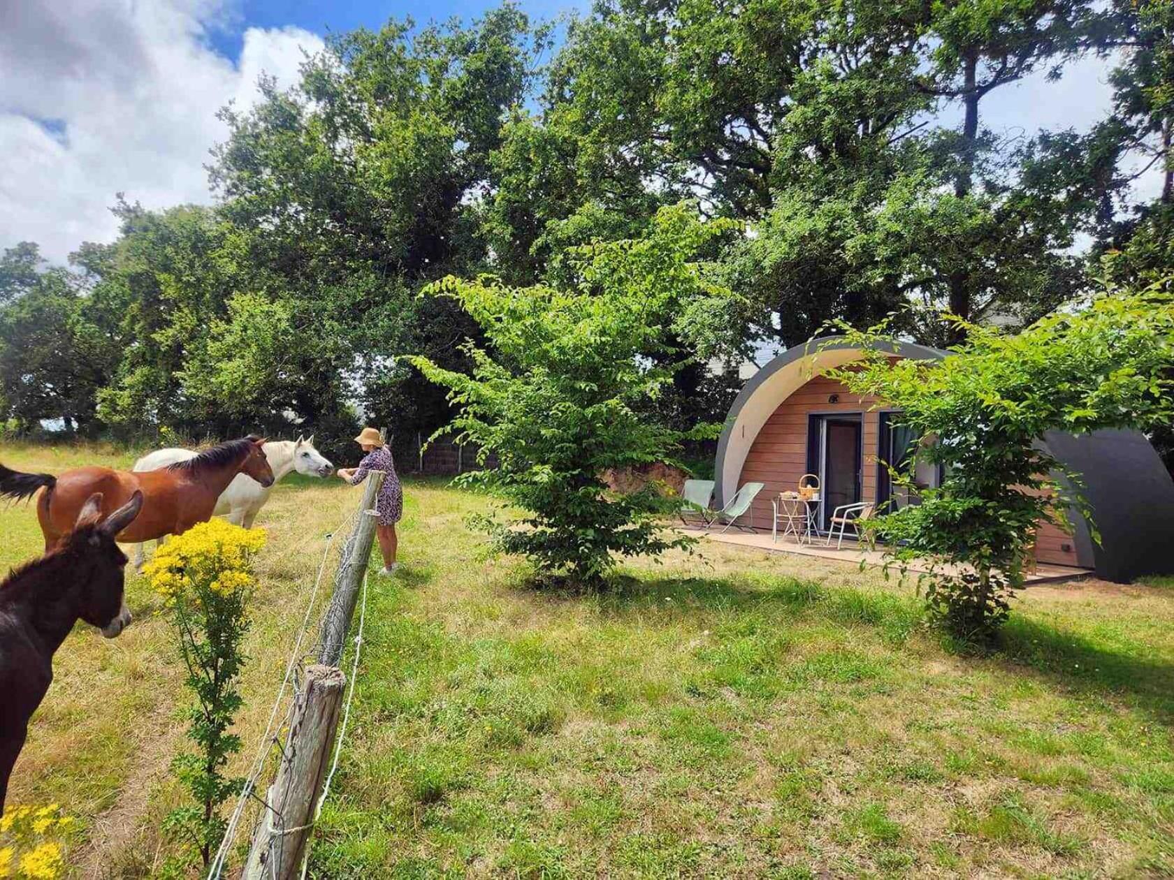 Gites & Tiny Houses Les Hauts De Toulvern Baden Camera foto